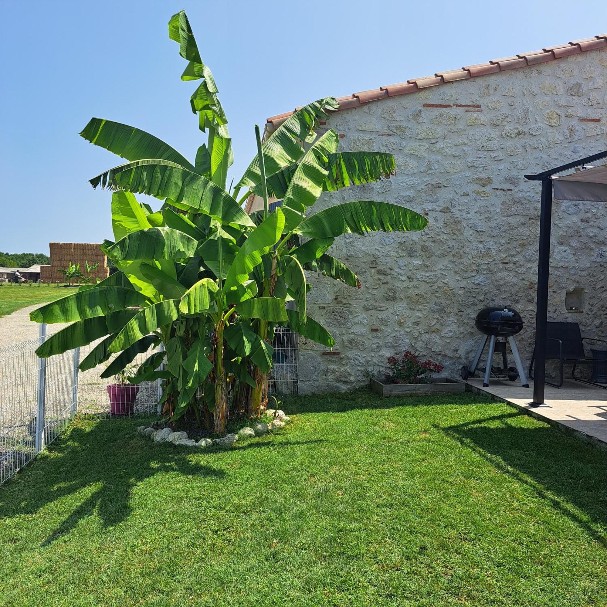 Le Domaine Vesque Villa Saint-Pierre-de-Clairac Exteriör bild